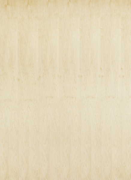 Tischlerplatte Furnier Amerik. Ahorn A/B | 2500 x 1240 x 19 mm