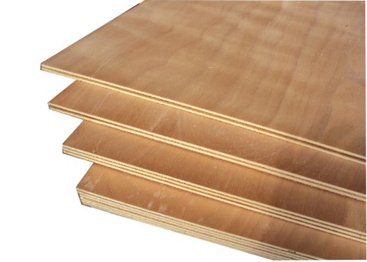 Industriesperrholz | diverse Stärken, 2440 x 1220 mm