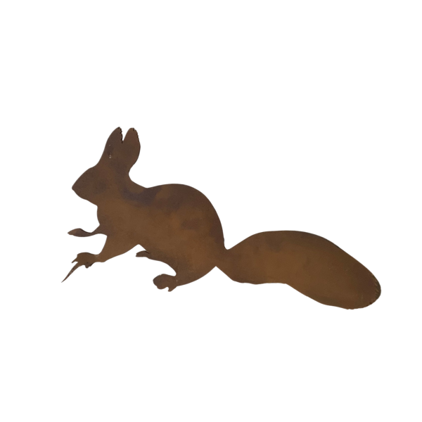 Eichhörnchen (ohne Baumstamm)