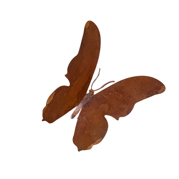 Schmetterling "Falter"